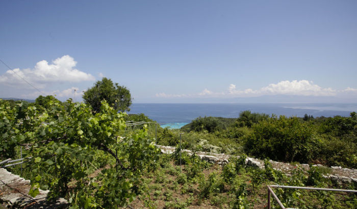 View from Bacchus House, Antipaxos