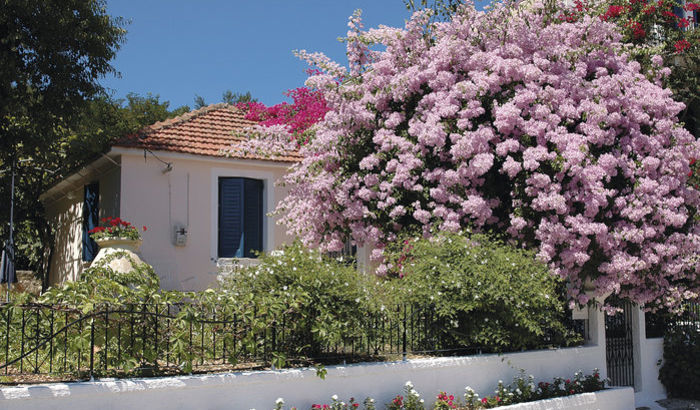 Garden, Eleni's Cottage, Kefalonia